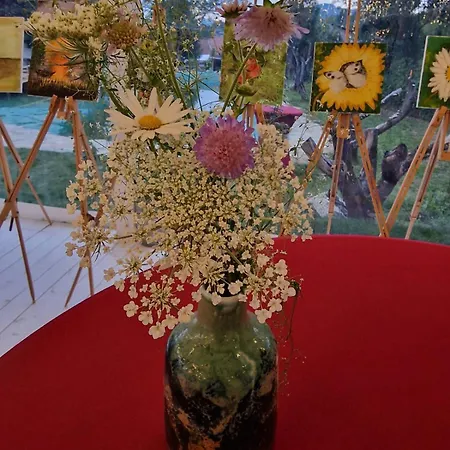 Nad Kostolom * Betliar