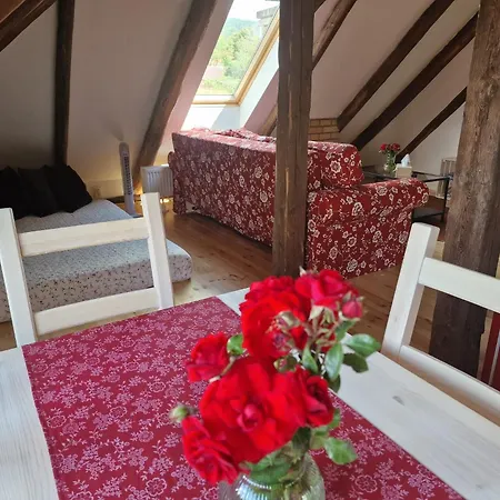 Nad Kostolom Apartment *